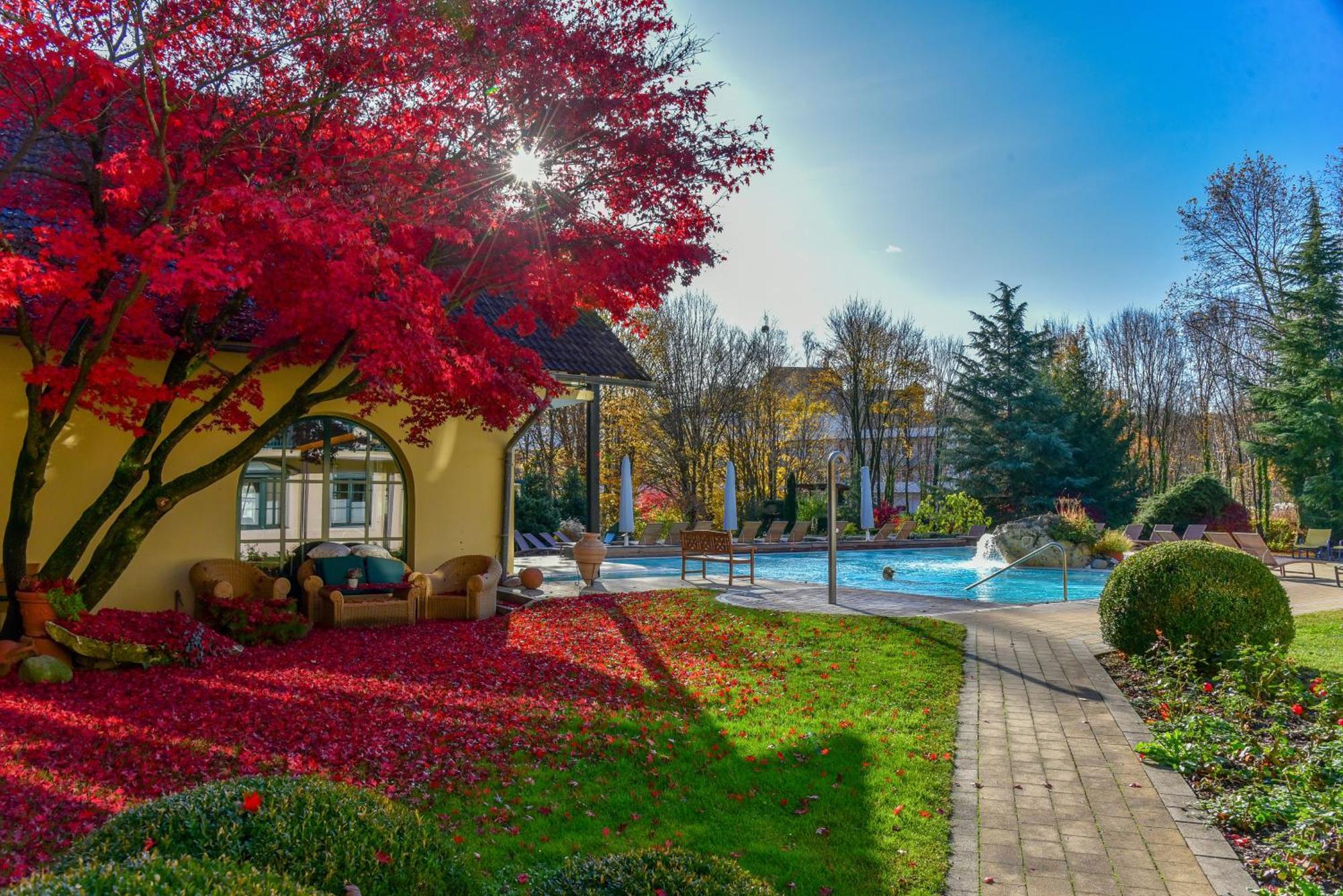 Hotel Im Park 4*